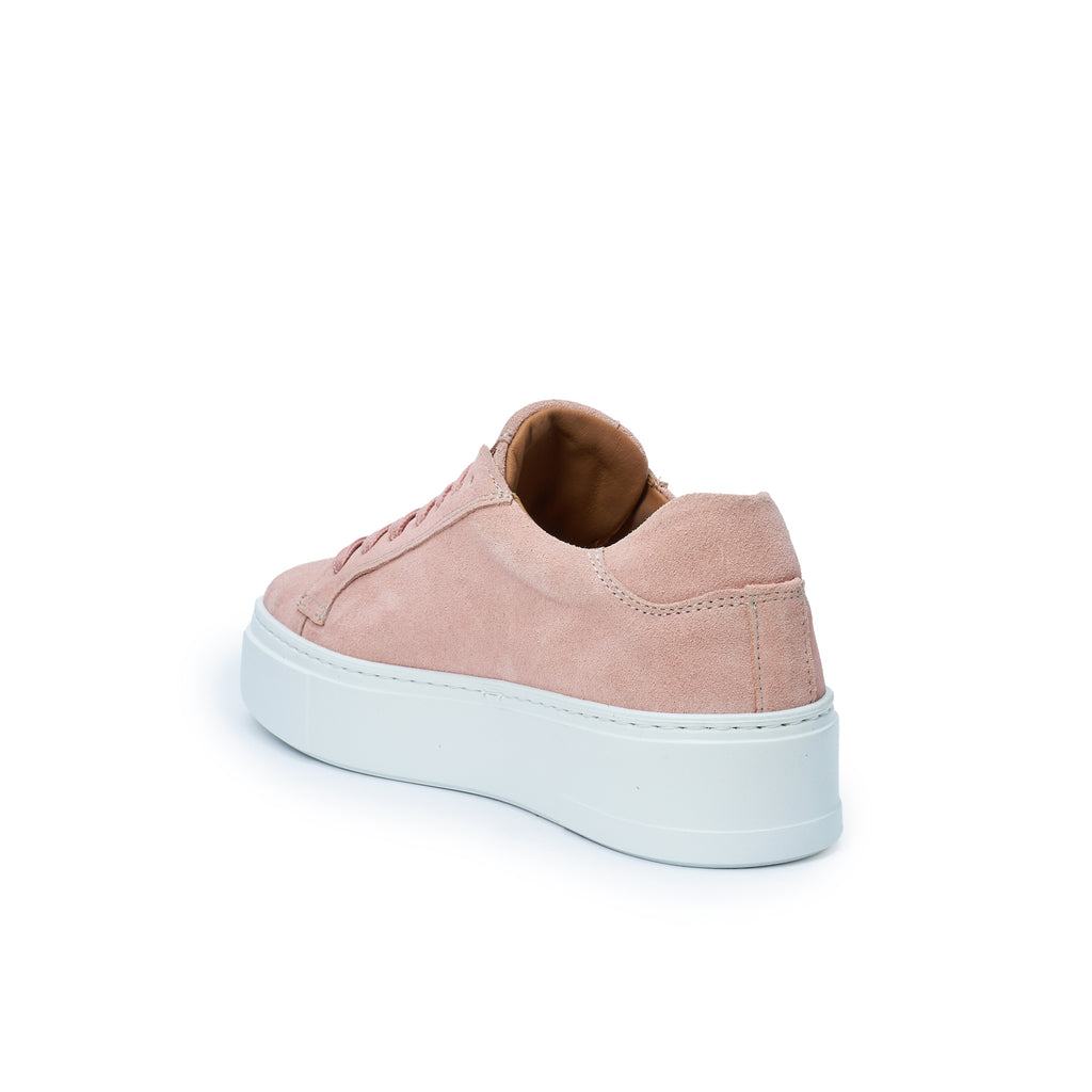 CLASSIC LACE-UP SNEAKER ROSE