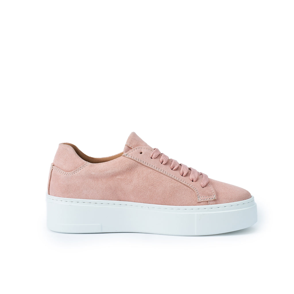 CLASSIC LACE-UP SNEAKER ROSE